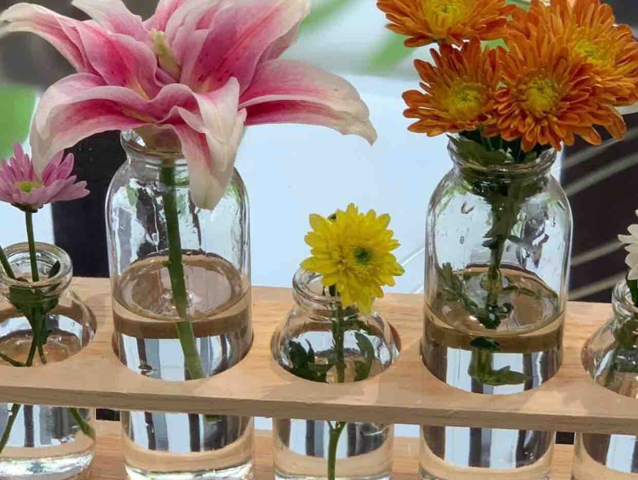 Karaoke Sương Trắng Miền Quê Ngoại Tone Nữ Nhạc Sống | Hoài Phong Organ