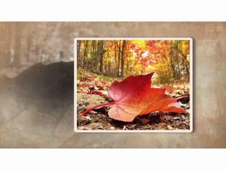 Karaoke Cho người tình lỡ - Tone Nữ