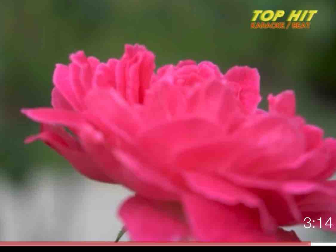 Anh Biết Em Đi Chẳng Trở Về - H ❤️ T.